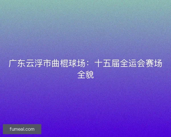 广东云浮市曲棍球场：十五届全运会赛场全貌